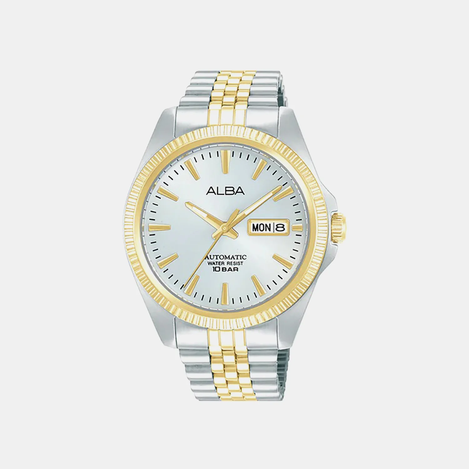 Men Automatic Silver Dial Analog Steel Watch AL4784X1