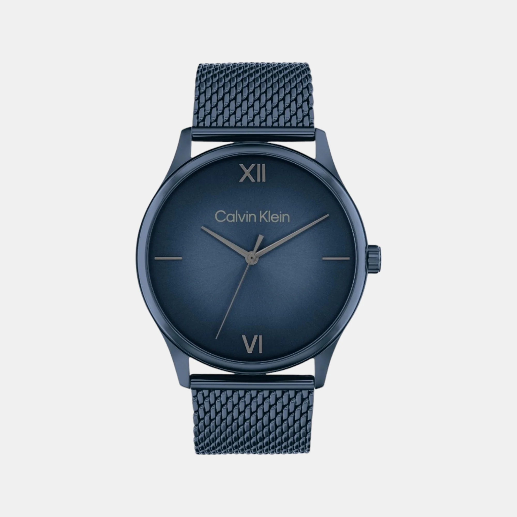 Ascend Men Quartz Blue Dial Analog Mesh Watch 25200451