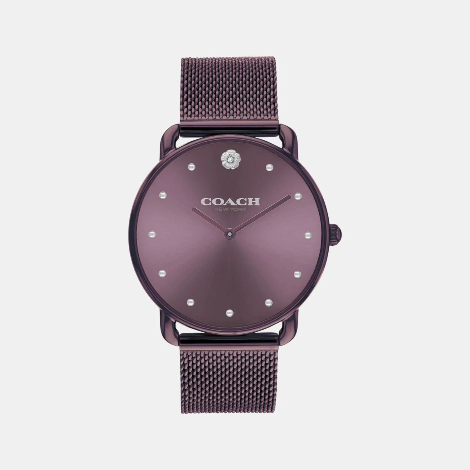 Elliot Women Quartz Purple Dial Analog Stainless Steel Watch 14504211