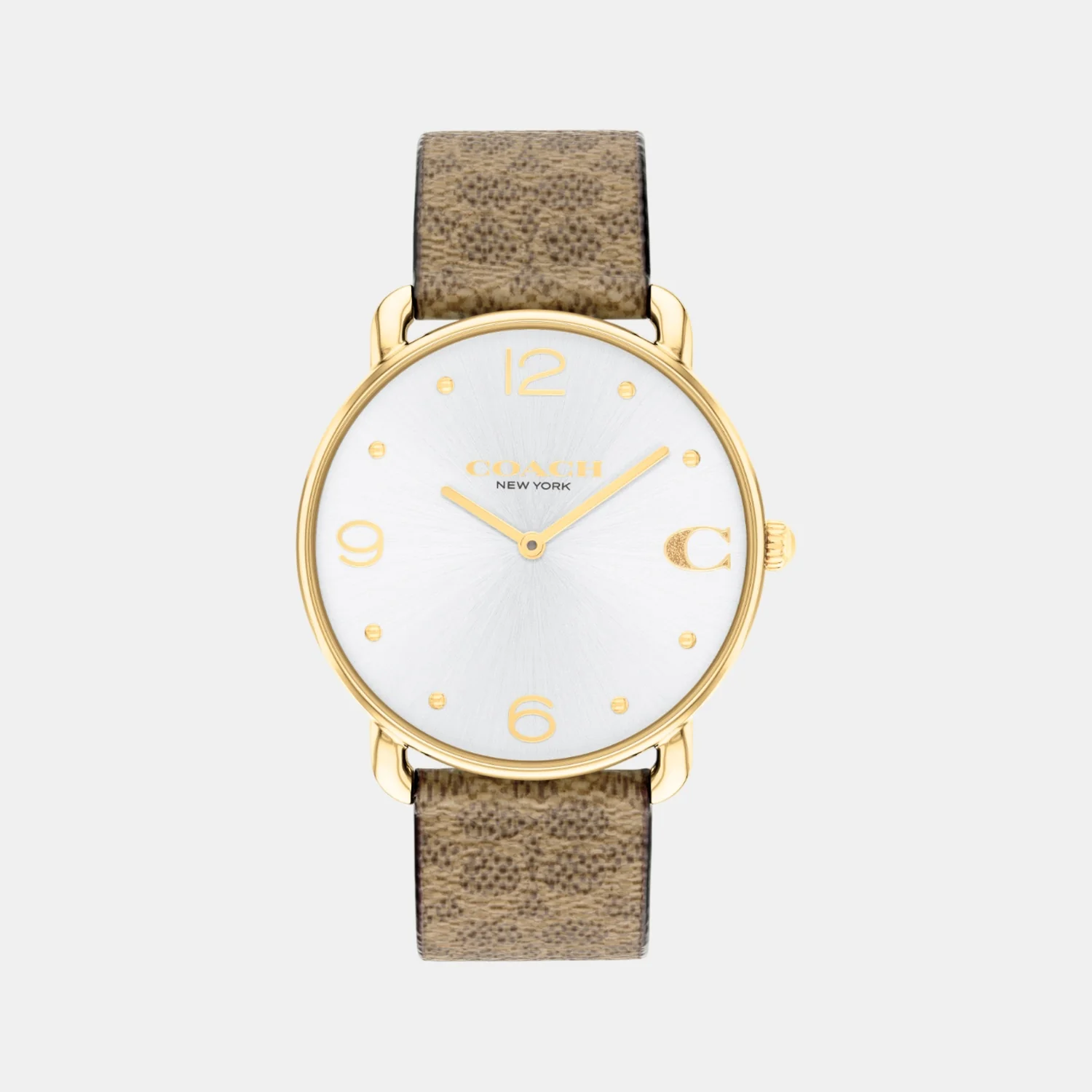 Elliot Women Quartz Silver Dial Analog Leather Watch 14504205