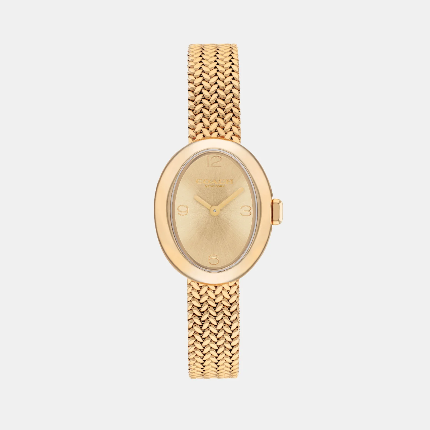 Sammy Women Quartz Gold Dial Analog Mesh Watch 14504567