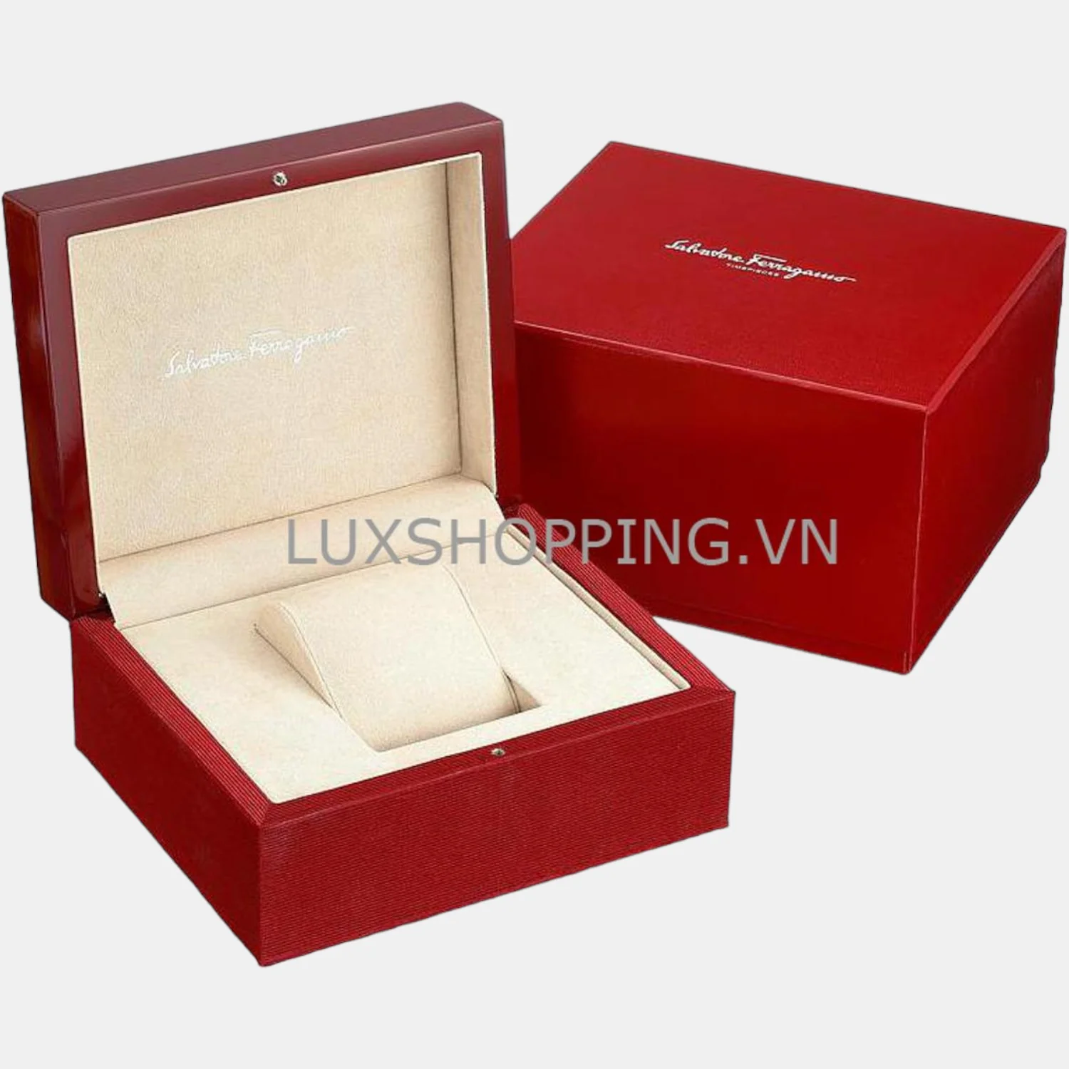 Mg-Ferragamo Experience Men Quartz Blue Dial Analog Stainless Steel Watch SFMG00521 - Image 5