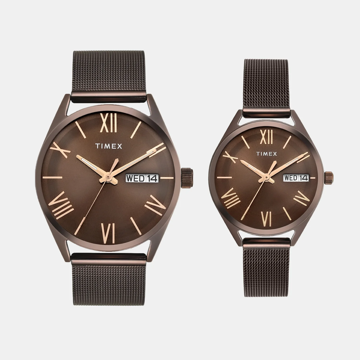 Trendline Couple Quartz Brown Dial Analog Mesh Watch TW00PR353